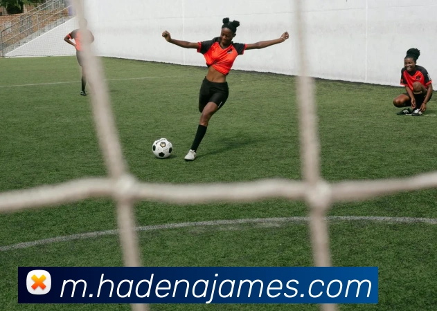 用户互动社区